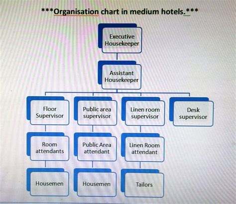 housekeeping hierarchy|housekeeping staff duties and responsibilities.